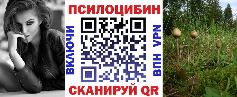 hydra как войти  Болгар  Псилоцибиновые грибы Psilocybine cubensis 